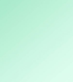 landscape2 This is caption on hover