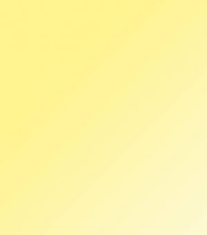 landscape6 landscape6